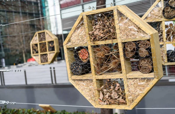 Arı ve böcek evi bir şehirde ağaçtan ve doğal malzemelerden yapılmıştır..