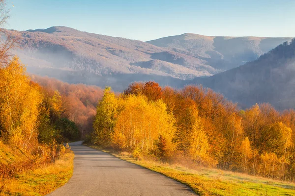 Silnice Stromu Žlutým Podzimním Listím Pozadí Hor Podzimní Období — Stock fotografie