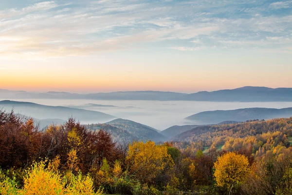 Şafakta Dağlarda Sis Sonbahar Ormanlarının Tepeleri Arasında — Stok fotoğraf