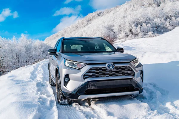 Uzhhorod Ukrayna Ocak 2021 Japon Markası Toyota Rav Gri Arabası — Stok fotoğraf