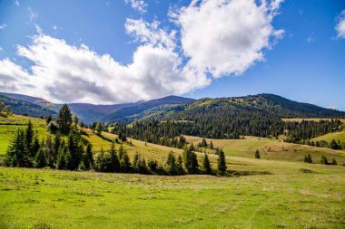 Dağlara yakın ağaçlarla dolu bir çayır ve bulutlarla dolu bir gök. Temiz hava ekolojisi.