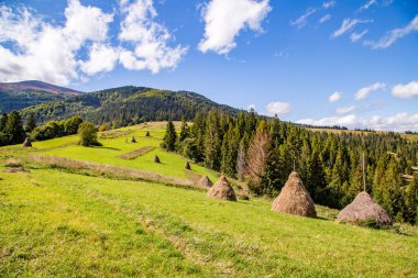 Köyün yakınındaki dağlarda kozalaklı ağaçlar ve bulutlarla kaplı gökyüzü. Temiz hava ekolojisi.