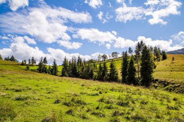 Dağlarda kozalaklı ağaçlarla bembeyaz bulutlarla güneşli mavi gökyüzü..