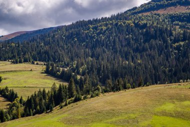 Dağlar da (etrafa) odun hamalı ağaç olmuştur. Yeşil Orman.