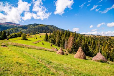 Dağlara yakın ağaçlarla dolu bir çayır ve bulutlarla dolu bir gök..