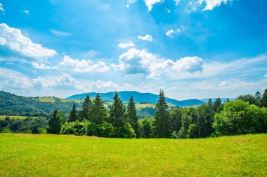 Orman ve dağ sırasının yakınında çimlerle kaplı bir çayır..
