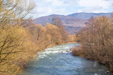 Taşlı fırtınalı dağ nehri. Güçlü akım.