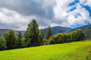 Ağaçların ve dağların arka planında çimlerle kaplı bir çayır. Güzel dağ manzarası.