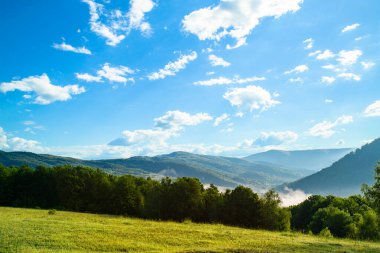 Ot ve ağaçlarla kaplı çayır sisin içindeki dağların arka planında. Gün doğumu. Yaz dağlarının güzel manzarası.