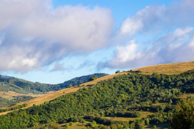 Açık bir yaz gününde dağların ve ormanların manzarası.
