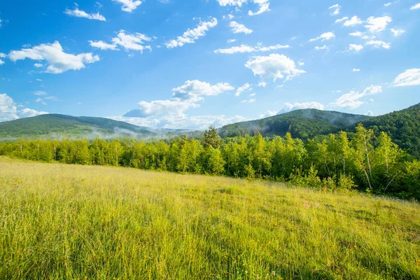 Sisteki ağaçların ve dağların arka planında ve bulutlu mavi gökyüzünde..