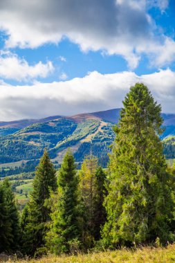 Kozalaklı orman ve dağların arka planındaki tepeler mavi gökyüzü bulutları. Kırsal .