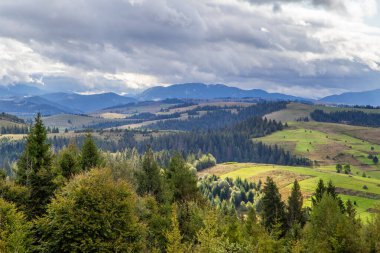 Orman ve tepeler bulutlardaki dağların arkasında. Kırsal .
