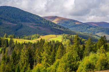 Orman ve tepeler bulutlardaki dağların arkasında.
