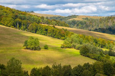 Dağlarda ağaçlar olan güzel tepeler. Güzel manzara..