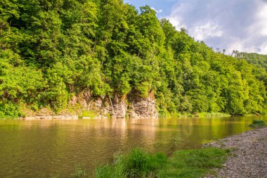 Nehir, güzel bir yaz gününde dağların ve ormanların yakınında akar. Doğa.