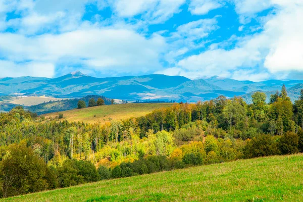 Glade Bedekt Met Gras Een Achtergrond Van Bos Bergen Hemel — Stockfoto