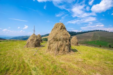 Tepedeki saman yığını. Dağlardaki kırsal alan. Vadideki köy. Güneşli bir yaz gününde gökyüzünde kabarık bulutlar...