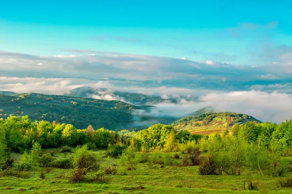 Campo Nas Montanhas Nevoeiro Nascer Sol Paisagem Bonita — Fotografia de Stock