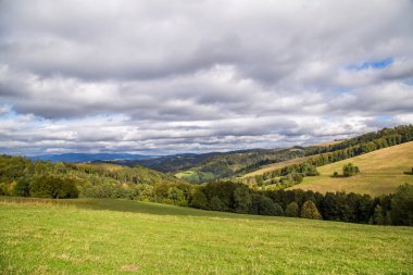 Yazın, bulutlardaki mavi gökyüzünde, dağların ve ormanların arka planında çimlerle kaplanmış çayır. Çayırların manzarası.