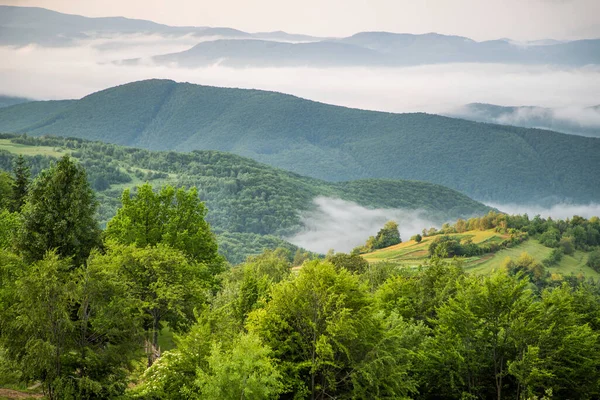 美丽的晨山 在乡间的雾中 自然景观 — 图库照片