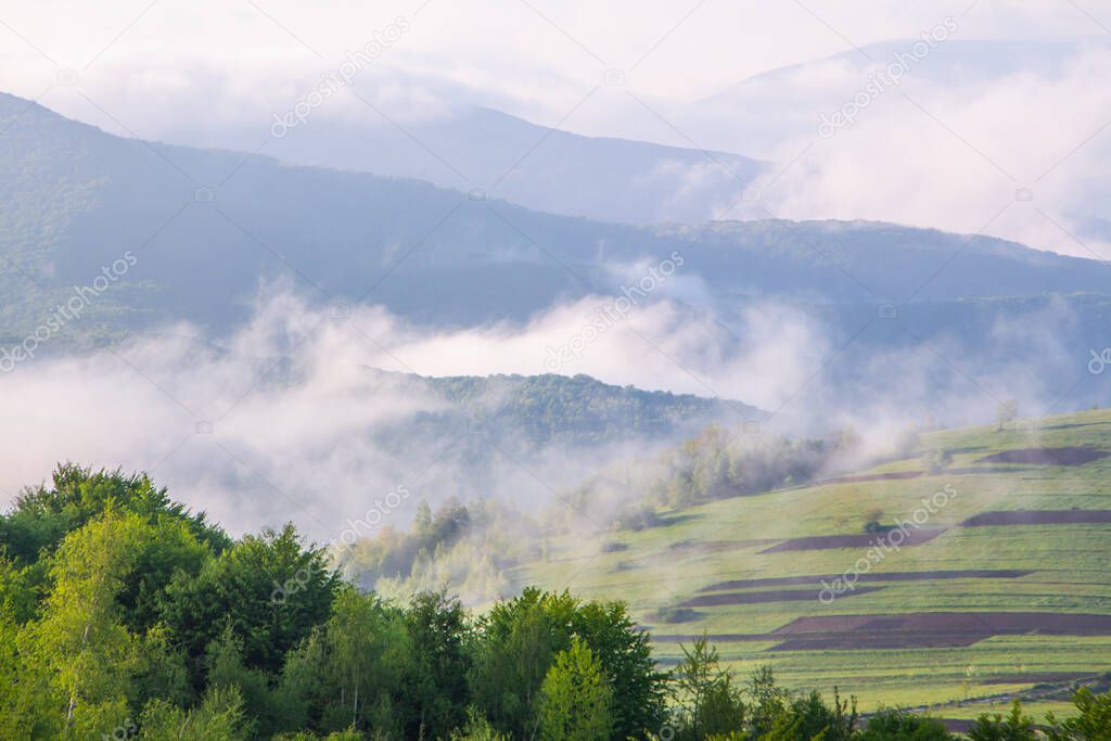 morning fog in the mountains on a summer day. Landscape of fogs. Countryside.