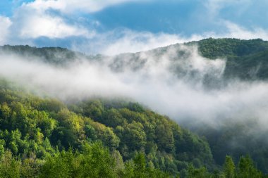 Dağ sabahleyin sisle kaplıdır. Dağlarda hava durumu.