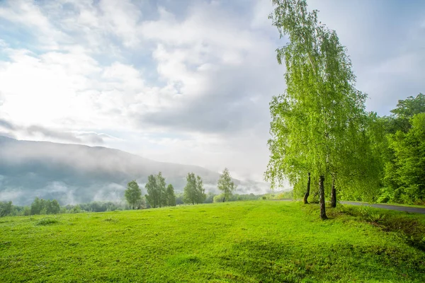 朝の霧の中で草に覆われ雲のある青空が広がっていました — ストック写真