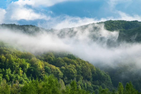 Berg Morgens Bedekt Met Mist Het Weer Bergen — Stockfoto