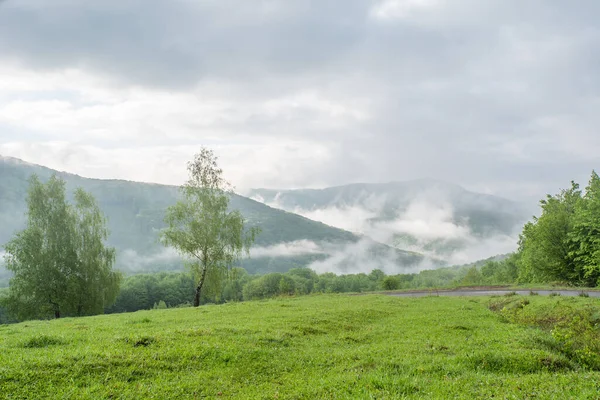 Glade Bedekt Met Gras Een Achtergrond Van Ochtend Bergen Mist — Stockfoto