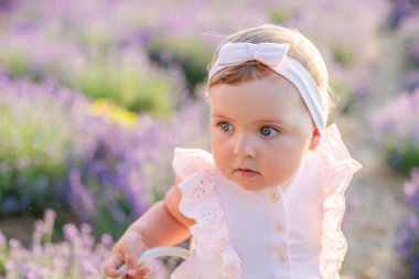 Çocuklar lavanta tarlasında mutlu. Doğayla uyum..