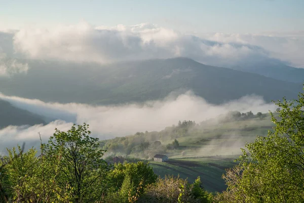Gyönyörű Köd Hegyekben Napkeltekor Egy Nyári Napon Vidéken Köd Hegy — Stock Fotó