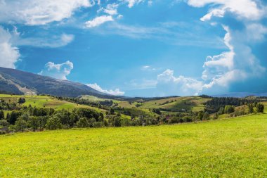 Ormanla kaplı bir arka planda çimlerle kaplı güzel bir açıklık ve bulutlarla kaplı güzel bir gökyüzü. muhteşem manzara.