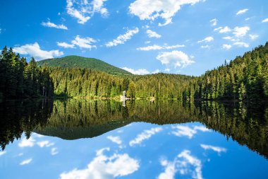 Karpatlar 'da yaz havasında Alp Gölü. Güzel gölet.