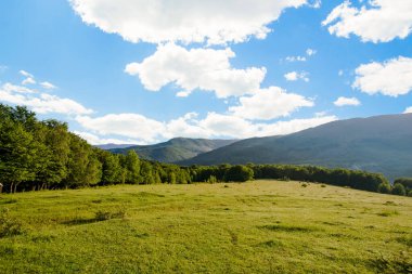 Yeşil yazın arka planında çimlerle kaplanmış güzel bir çayır ve mavi gökyüzü ve bulutlarla kaplı yüksek dağlar. Dağ manzarası. Temiz hava. Ekoloji. 