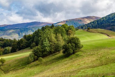 Sıcak bir yaz gününde dağlarda çimlerle ve ağaçlarla kaplı tepeler. Doğa arkaplanı. 