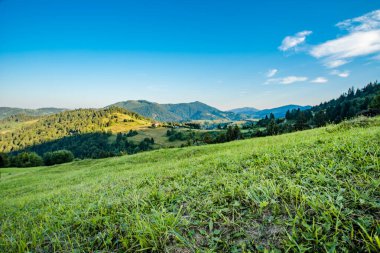 Buzullar, sabah güneşinin ılık bir sonbahar gününde parladığı dağların arka planında çimlerle kaplıdır. Toprak ekolojisi kavramı. Temiz Hava. 
