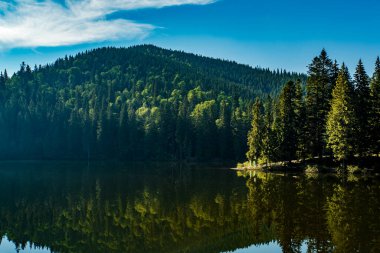 Göl dağlarla ve kozalaklı ormanlarla kaplıdır. Synevyr Ukrayna Gölü. Doğadaki saflık. 