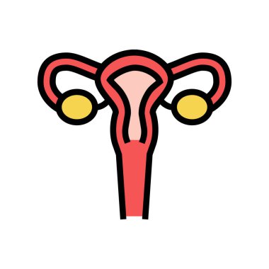 Rahim kadın organ renk ikonu vektör illüstrasyonu