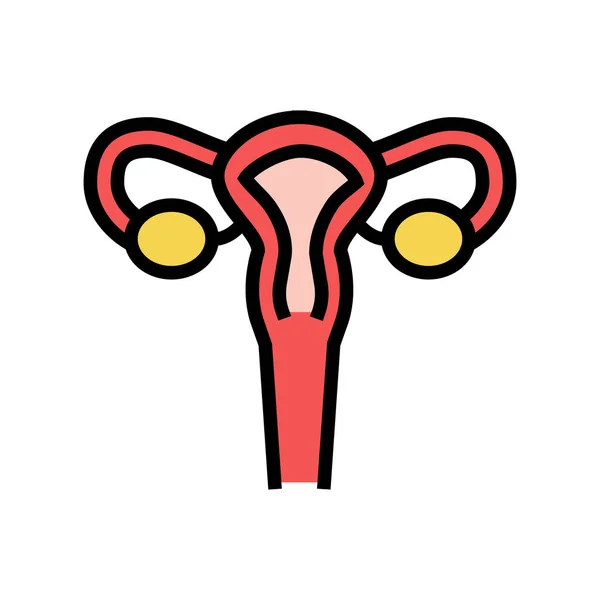 子宮の女性の臓器の色のアイコンベクトルイラスト — ストックベクタ