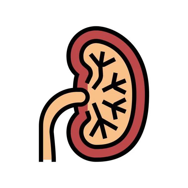 Unhealthy kidney color icon vector illustration — Stock Vector