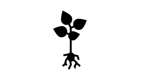 Crescente animação ícone de linha de planta — Vídeo de Stock