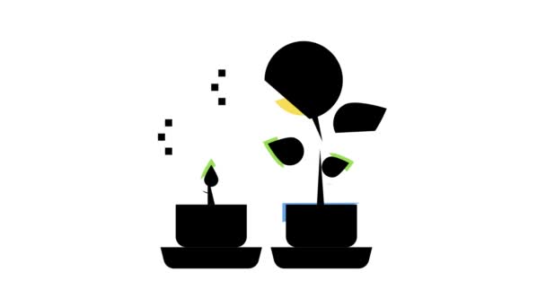 Dinero crecimiento planta color icono animación — Vídeo de stock