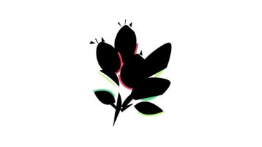 Rosehip aromaterapi renk canlandırması