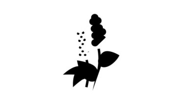 Silhat çiçekleri aromaterapi çizgi simgesi canlandırması