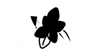 Nane aromaterapi çizgi simgesi canlandırması