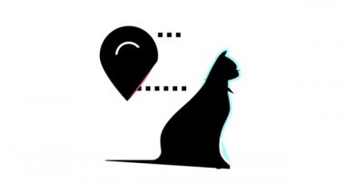 kedi konumu bilgisi renk canlandırması
