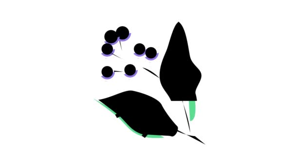 樟脑芳香疗法彩色图标动画 — 图库视频影像