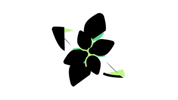 Pepparmynta aromaterapi färg ikon animation — Stockvideo