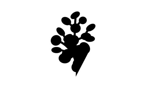 Animace ikon eukalyptové aromaterapie — Stock video
